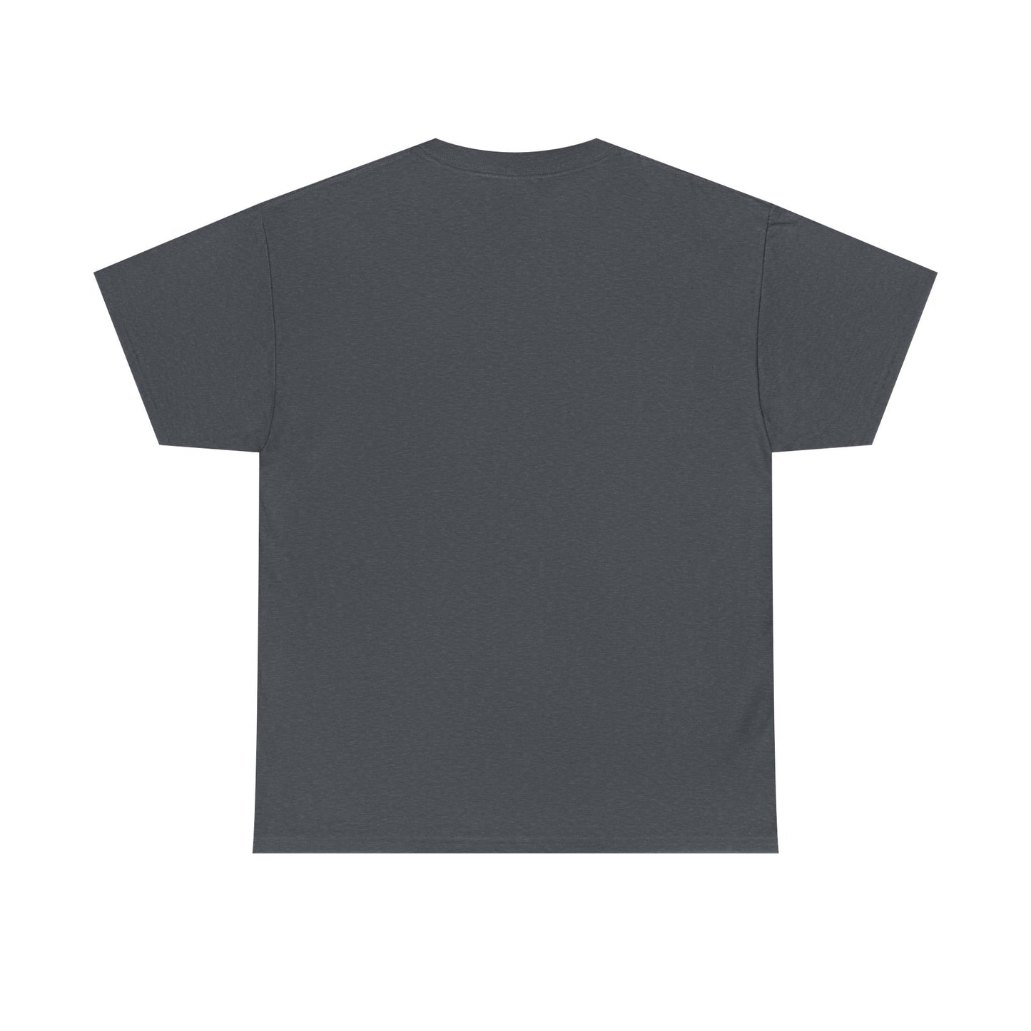 Protect What Matters | Patriotic T-Shirt for Proud Americans